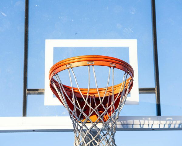 What is the role of genetics in your bodybuilding success?